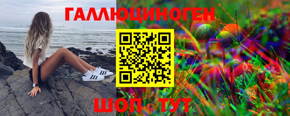 Галлюциногенные грибы прущие грибы Кемерово